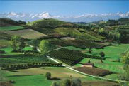 Torino walking tour